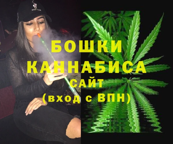 mdma Новозыбков