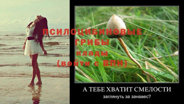 амф Нефтекумск