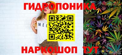 спиды Ливны