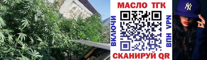 магазин    Печора  ТГК THC oil 