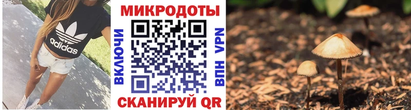 Псилоцибиновые грибы Magic Shrooms  Печора 