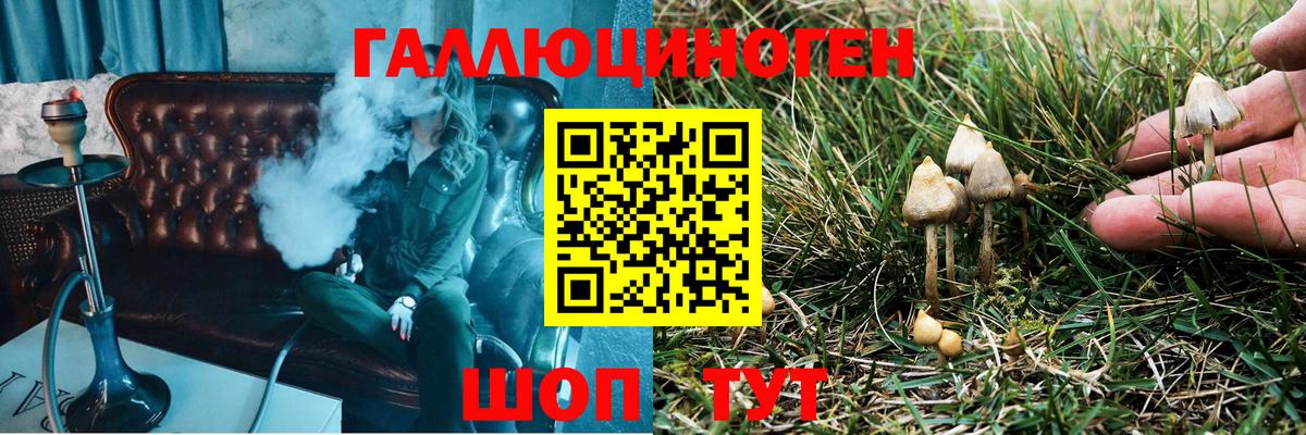 Галлюциногенные грибы Psilocybine cubensis Печора